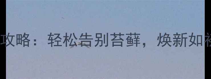 图片 5步搞定！石材保养全攻略：轻松告别苔藓，焕新如初（附清洁工具清单）