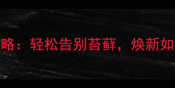 图片 5步搞定！石材保养全攻略：轻松告别苔藓，焕新如初（附清洁工具清单）1