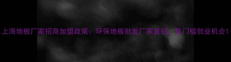 图片 上海地板厂家招商加盟政策：环保地板批发厂家直招，低门槛创业机会1