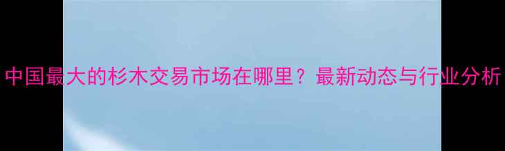 图片 中国最大的杉木交易市场在哪里？最新动态与行业分析