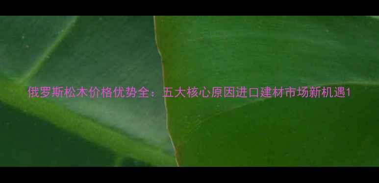 图片 俄罗斯松木价格优势全：五大核心原因进口建材市场新机遇1