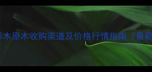 图片 全国杉木原木收购渠道及价格行情指南（最新版）1