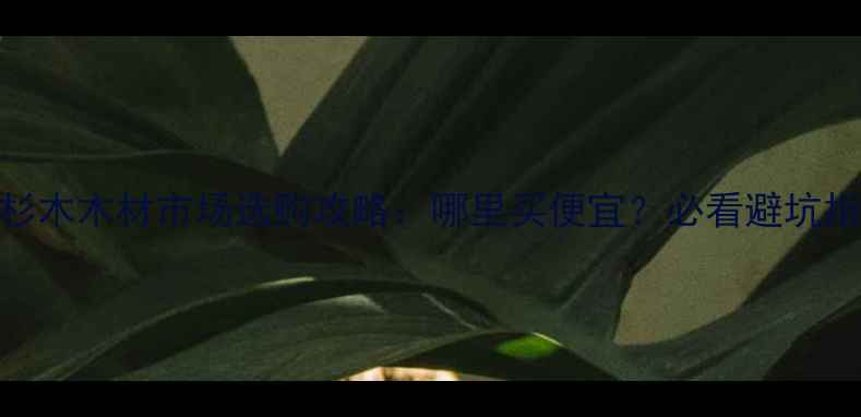 图片 南宁杉木木材市场选购攻略：哪里买便宜？必看避坑指南！