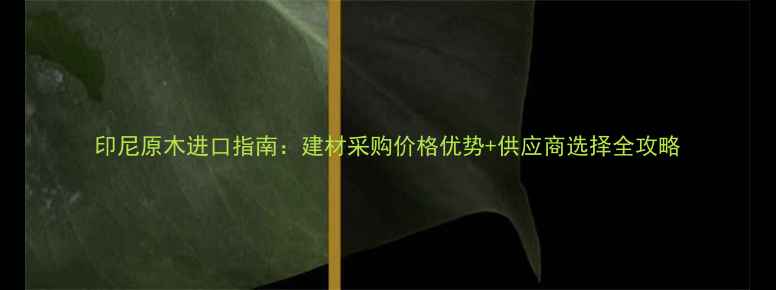 图片 印尼原木进口指南：建材采购价格优势+供应商选择全攻略