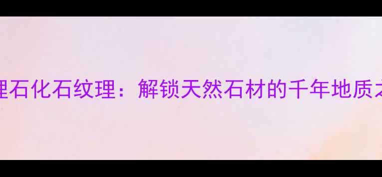 图片 大理石化石纹理：解锁天然石材的千年地质之美