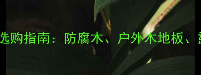图片 室外木材权威选购指南：防腐木、户外木地板、露台木饰面全1