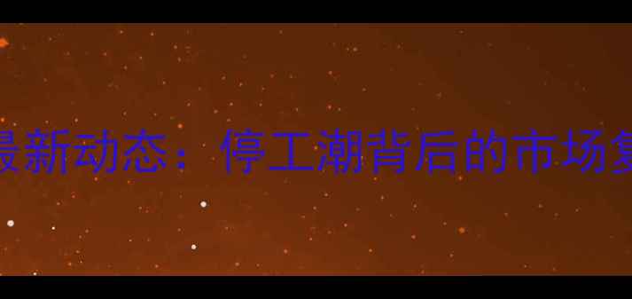 图片 寿宁石材行业最新动态：停工潮背后的市场复苏与转型之路