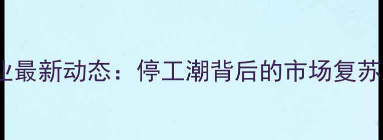图片 寿宁石材行业最新动态：停工潮背后的市场复苏与转型之路1