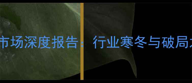 图片 建材市场深度报告：行业寒冬与破局之道1