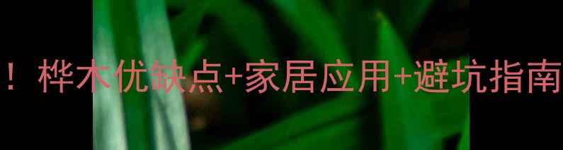图片 桦木选购全攻略！桦木优缺点+家居应用+避坑指南（附最新报价）