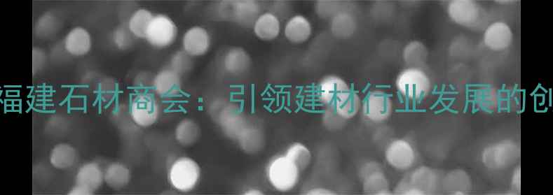 图片 泌阳县福建石材商会：引领建材行业发展的创新力量