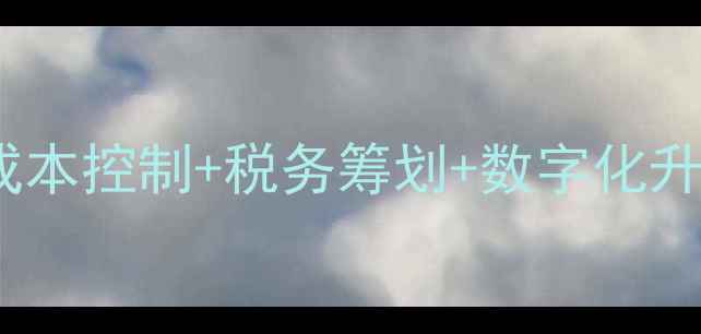 图片 石材企业财务健康诊断：成本控制+税务筹划+数字化升级全攻略（附行业数据）1