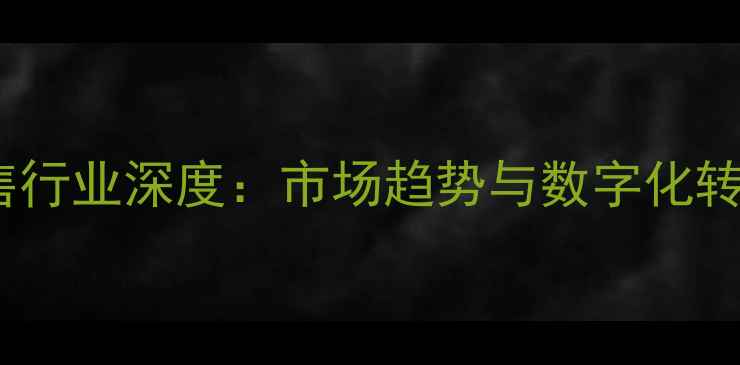 图片 石材销售行业深度：市场趋势与数字化转型路径2