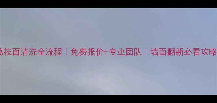 图片 荔枝面清洗全流程｜免费报价+专业团队｜墙面翻新必看攻略1