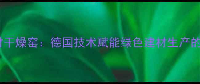 图片 进口连续式木材干燥窑：德国技术赋能绿色建材生产的高效解决方案1