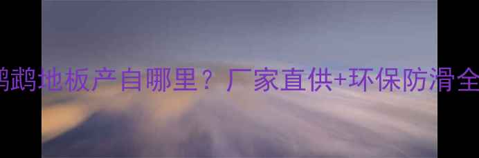 图片 金钢鹦鹉地板产自哪里？厂家直供+环保防滑全攻略1