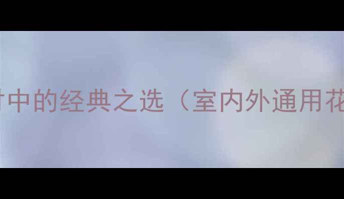 图片 金麻黄麻花岗岩：天然石材中的经典之选（室内外通用花岗岩的特性与应用指南）1