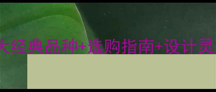 图片 🌟希腊大理石全！8大经典品种+选购指南+设计灵感，附高清实拍图🔥