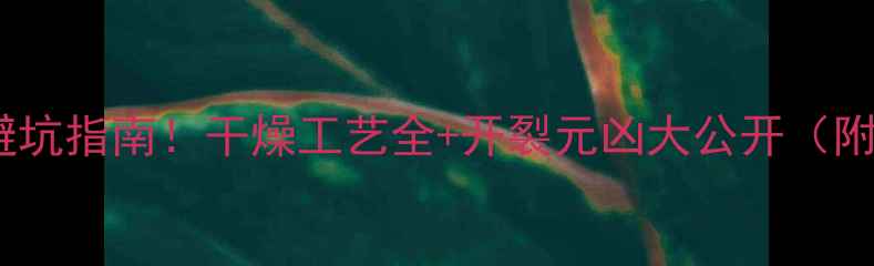 图片 🌟木材开裂避坑指南！干燥工艺全+开裂元凶大公开（附解决方案）1