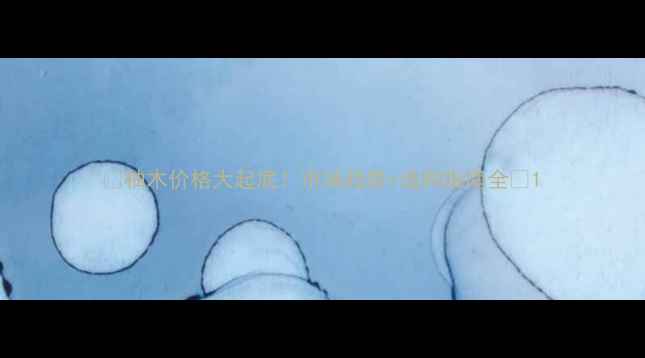 图片 🌟柚木价格大起底！市场趋势+选购指南全🌟1