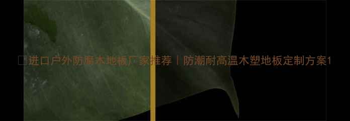 图片 🌿进口户外防腐木地板厂家推荐｜防潮耐高温木塑地板定制方案1